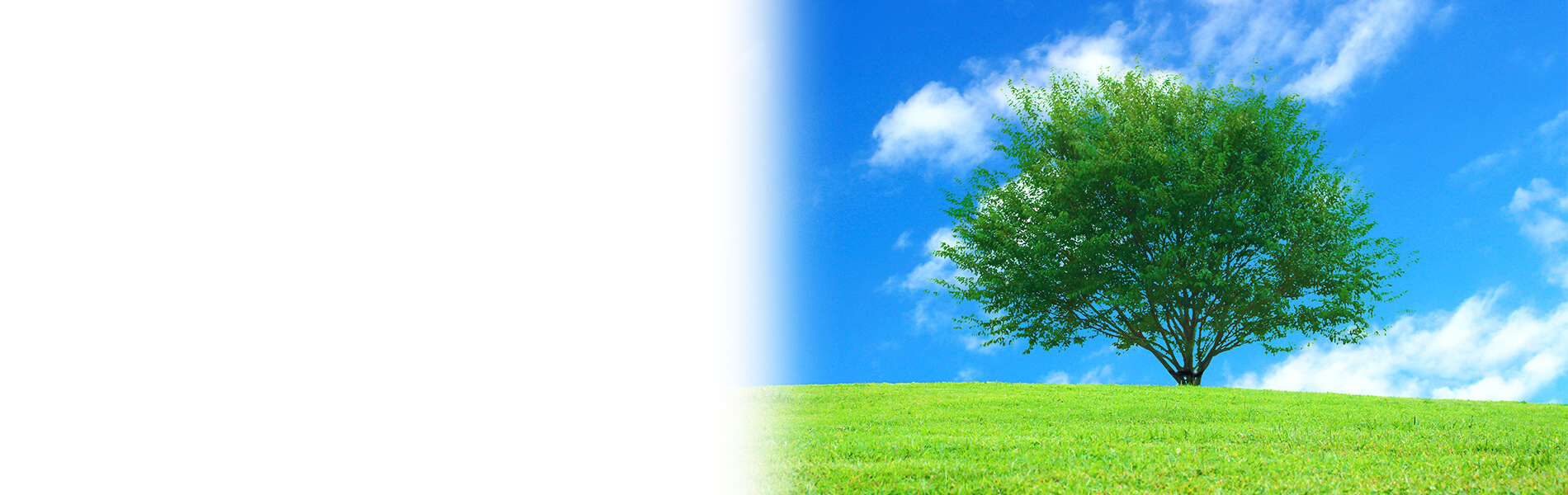 手軽にレンタル あるる 「第一生命グループ」社員様専用